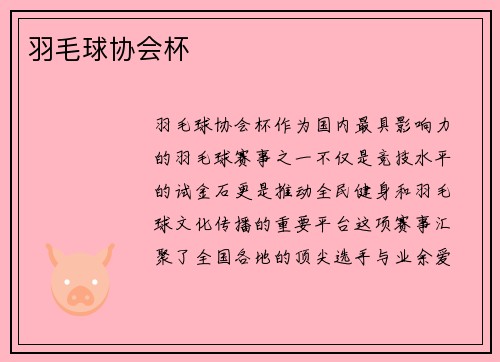 羽毛球协会杯